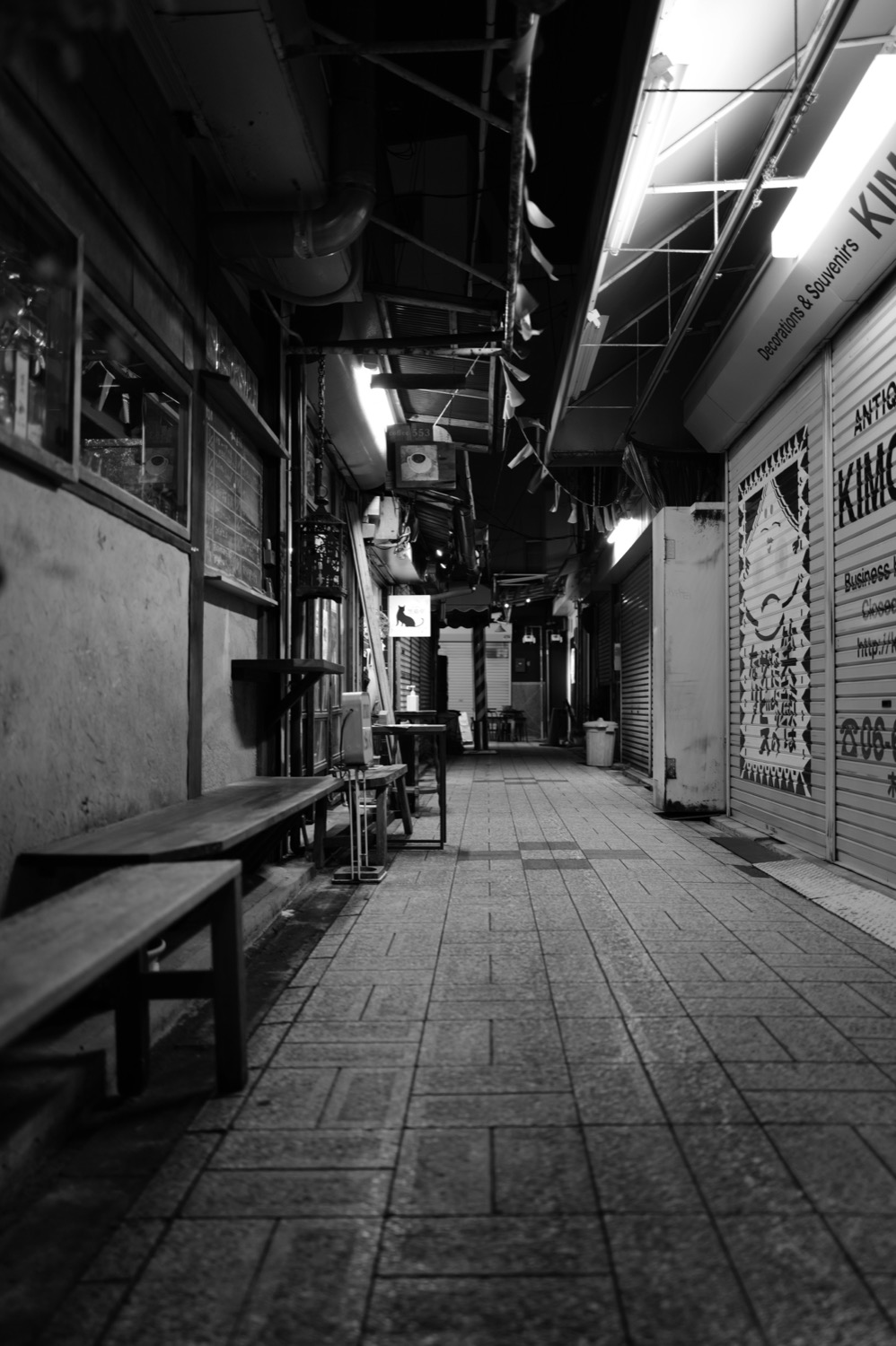 © Tina Lin | 2025 Autumn