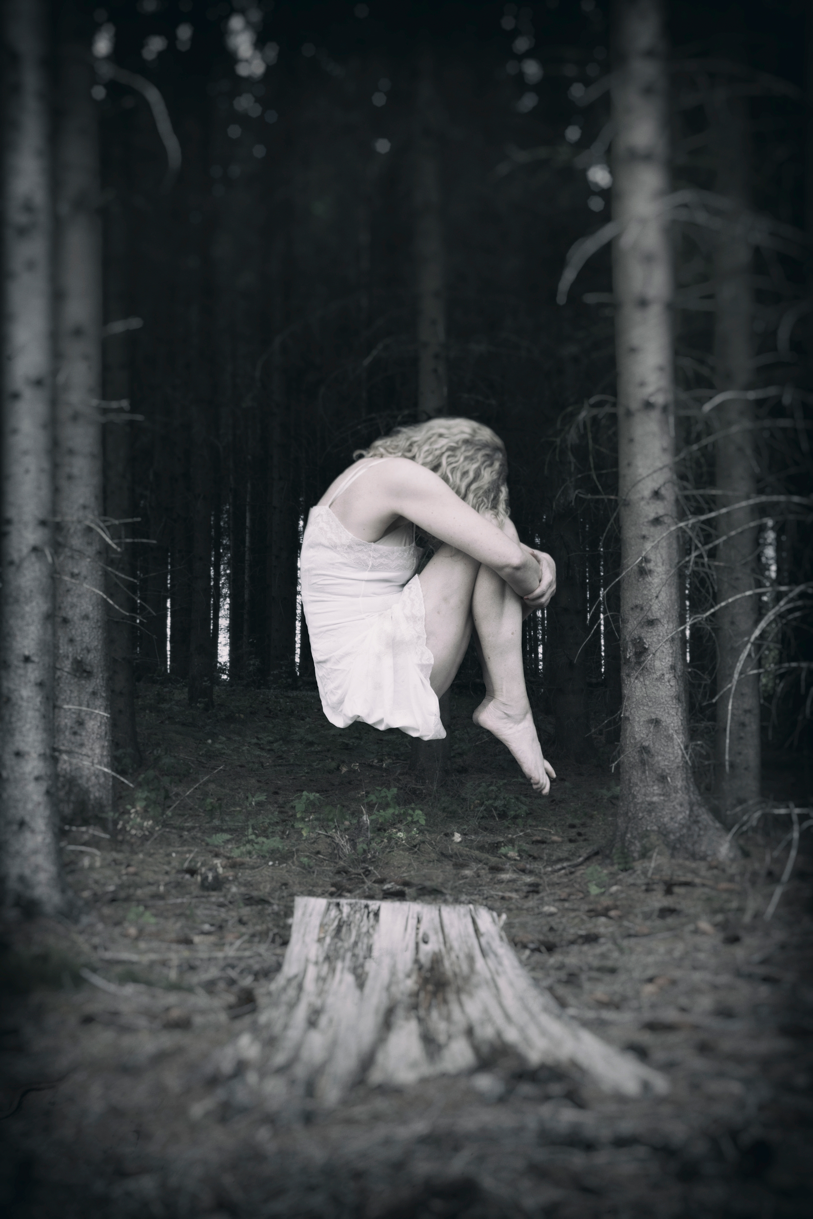 © Annie Weibull | In The Woods