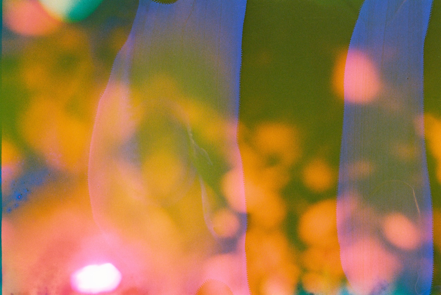 © Antonio Rosato | Hidden Flowers