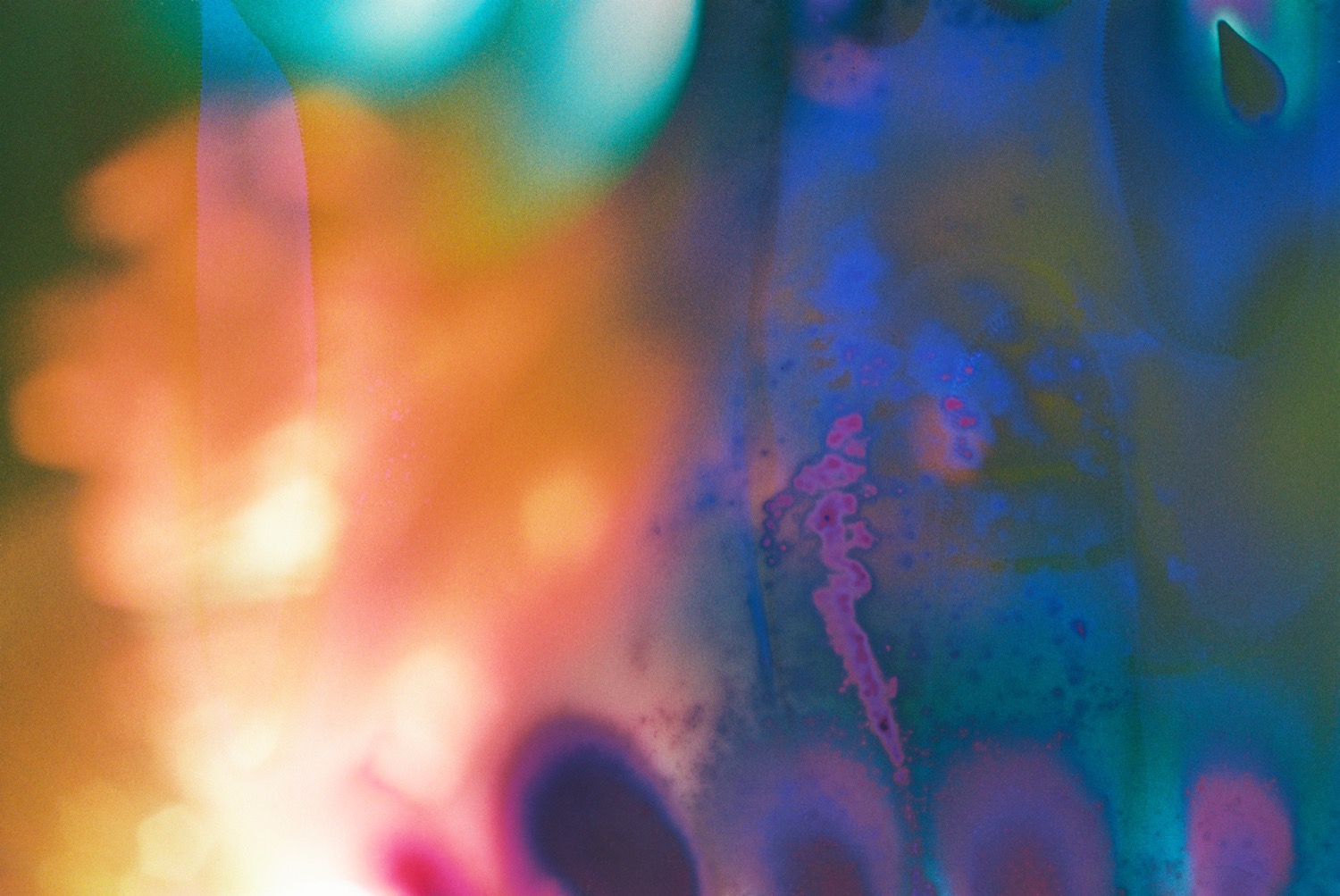 © Antonio Rosato | Hidden Flowers