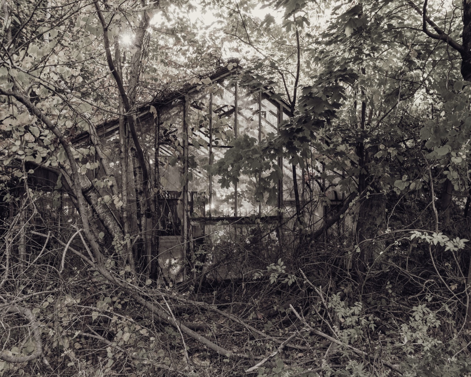 © Barbara Lewin | Living in the Bardo