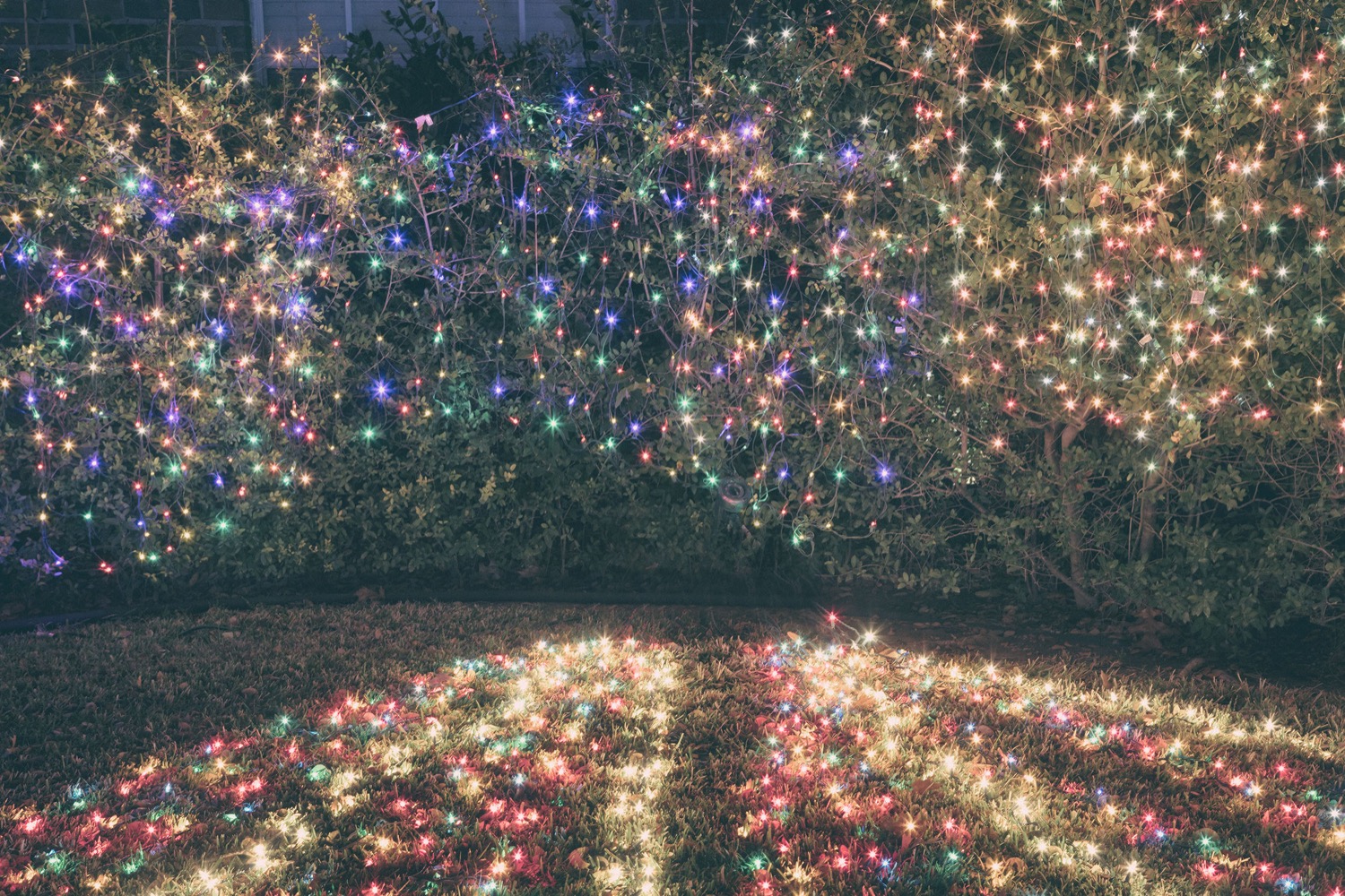 © Carol Schiraldi | Lightscapes at the Edge of Perception