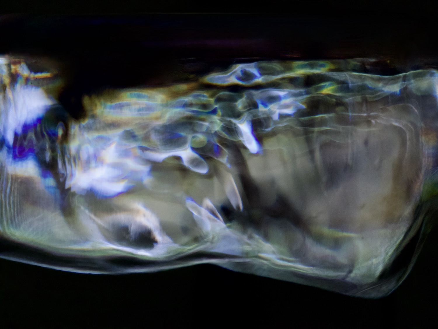 © Colina Logar | Soulscapes