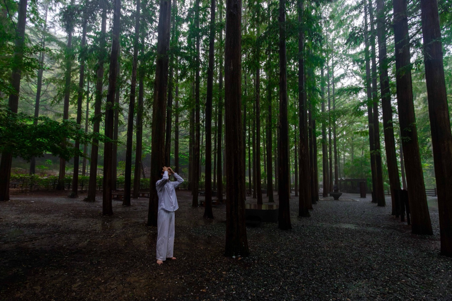 © Duhui Choi | Vegetative State