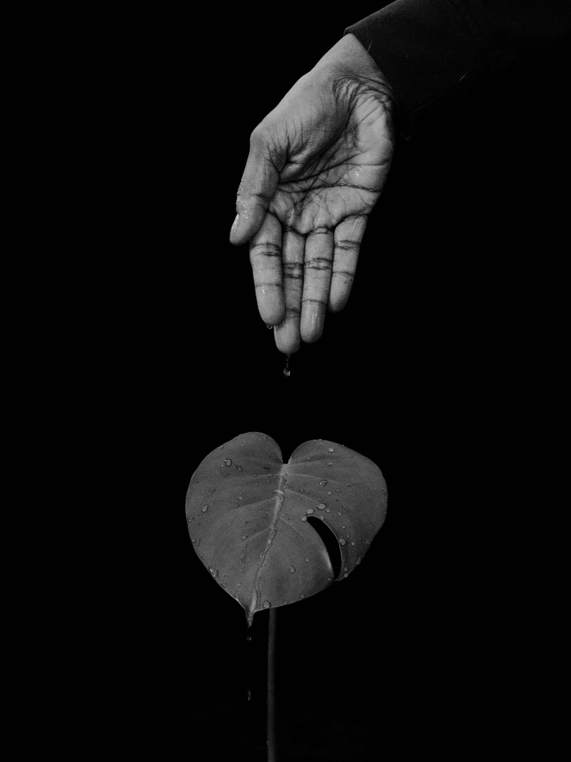 © Elda Grabocka | The Weight of Release