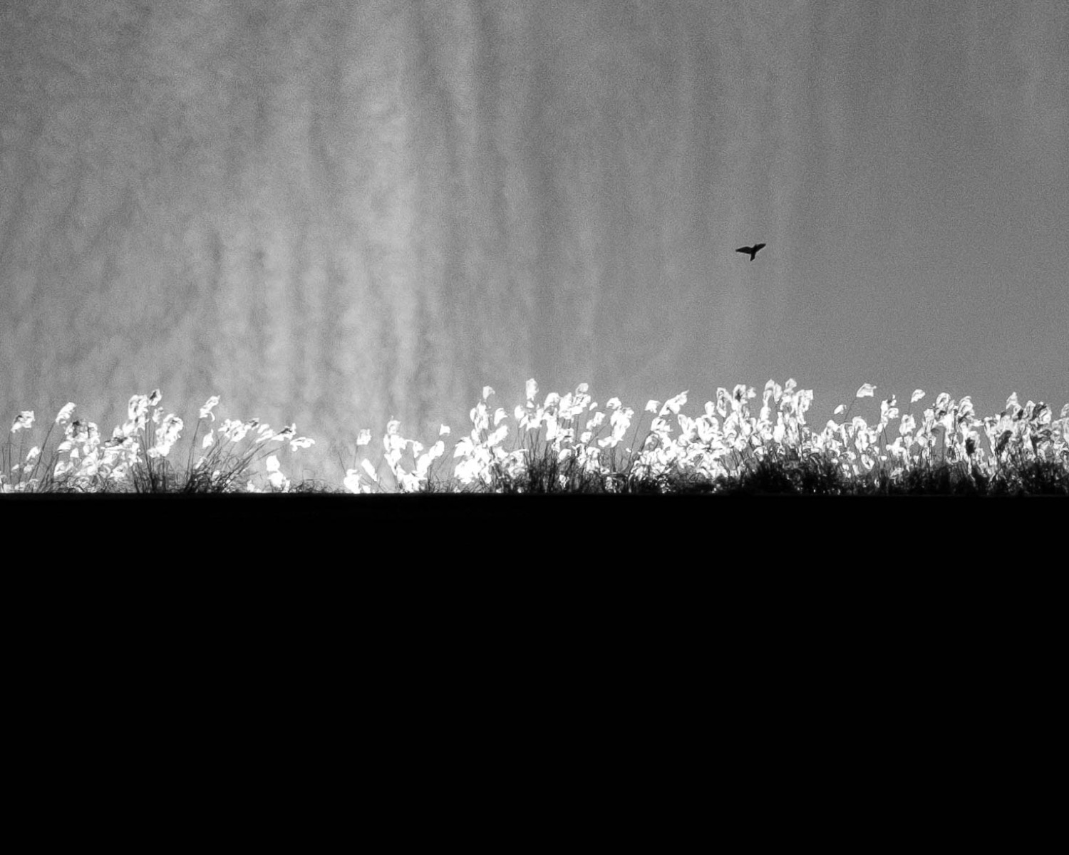 © Elda Grabocka | The Weight of Release