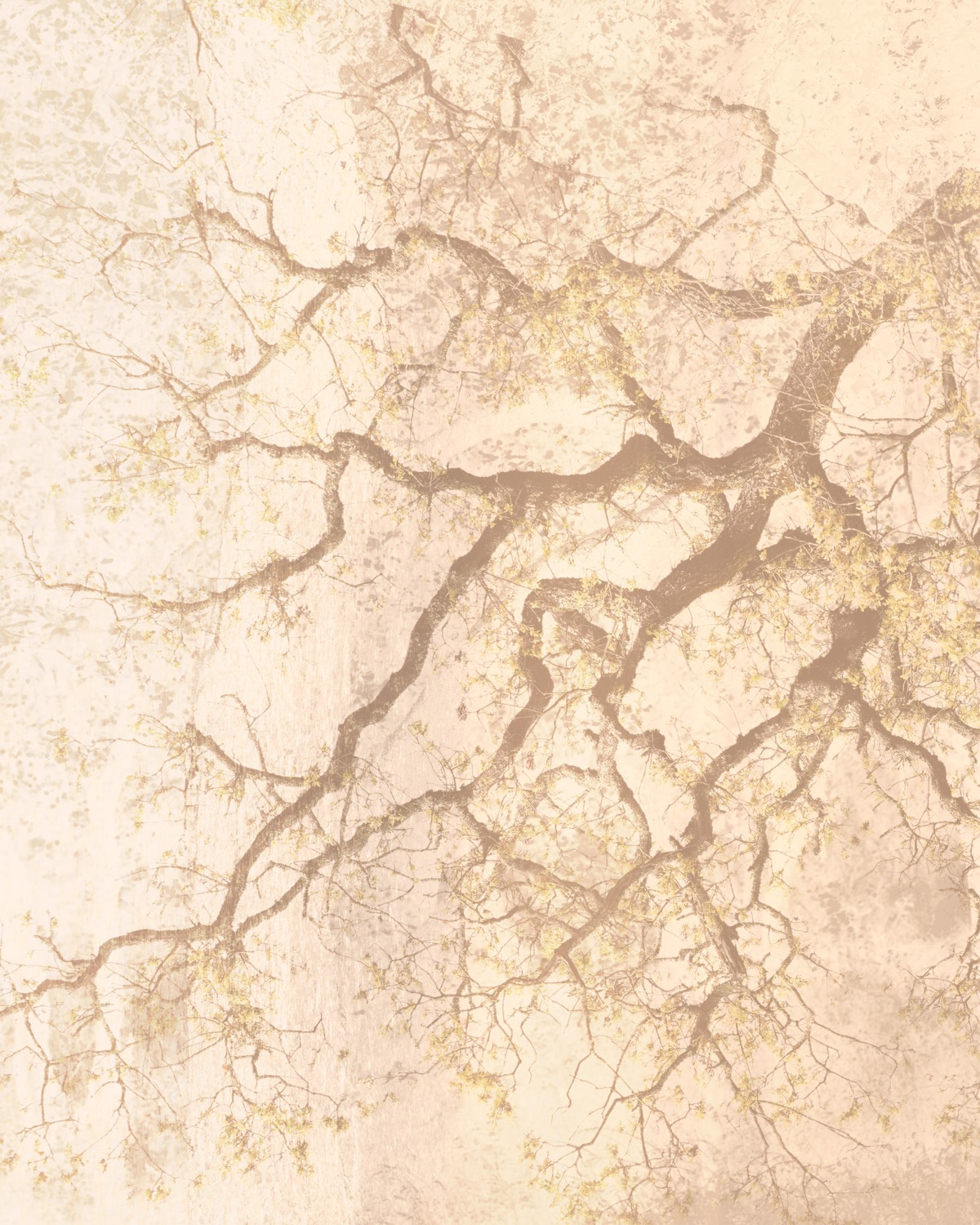 © Elizabeth Lytle | Undeniable