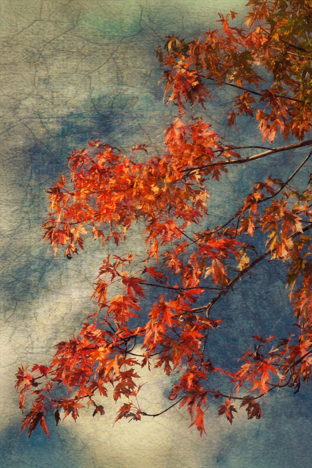 © Giuseppe Satriani | Inner Landscapes