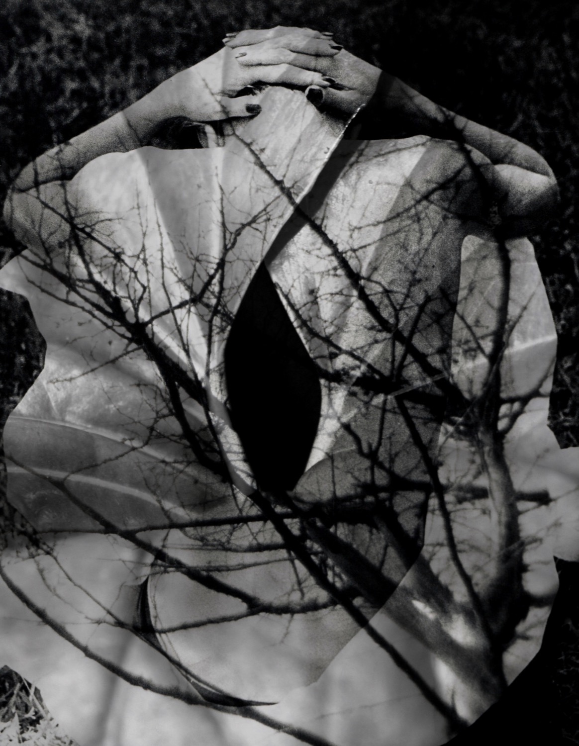 © Iveta Butler | She