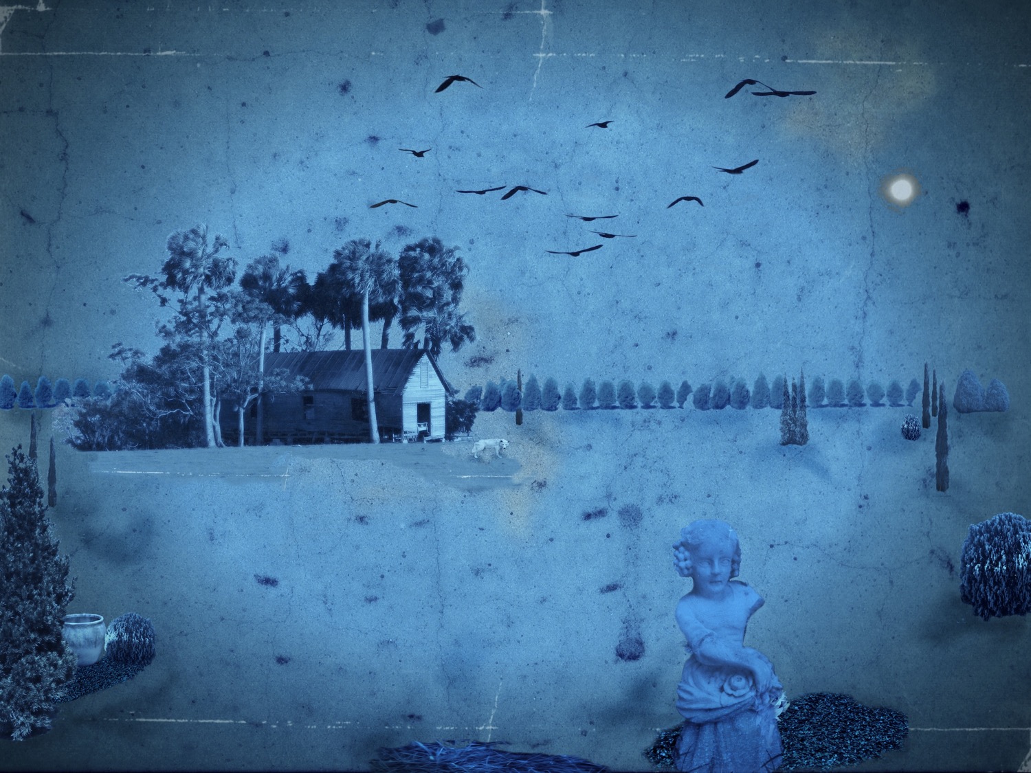 © Jeffrey Blakely | Ephemeral Moments