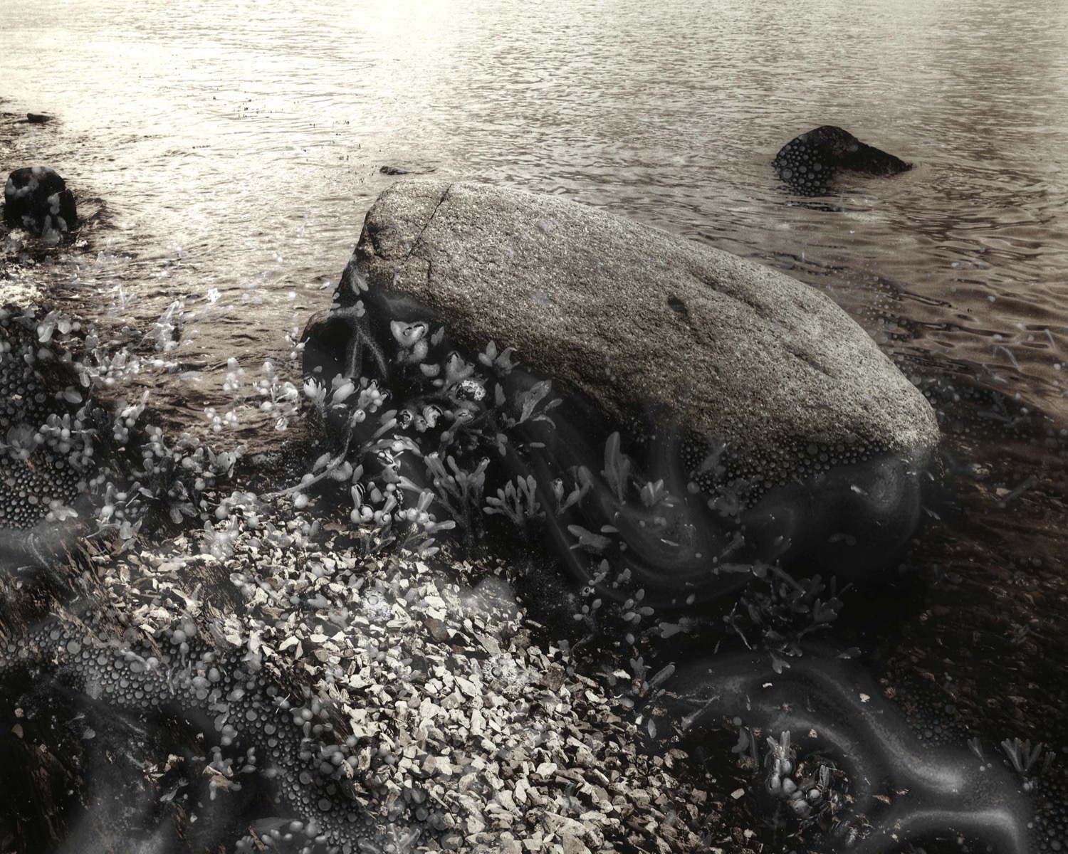 © Katinka Kvale | My View, infectious