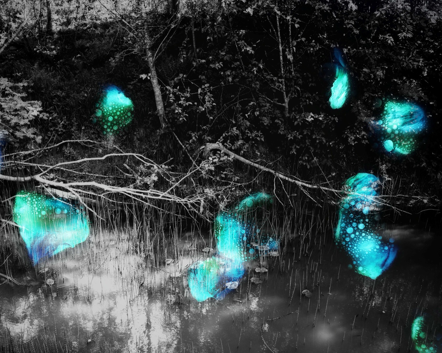 © Katinka Kvale | My View, infectious