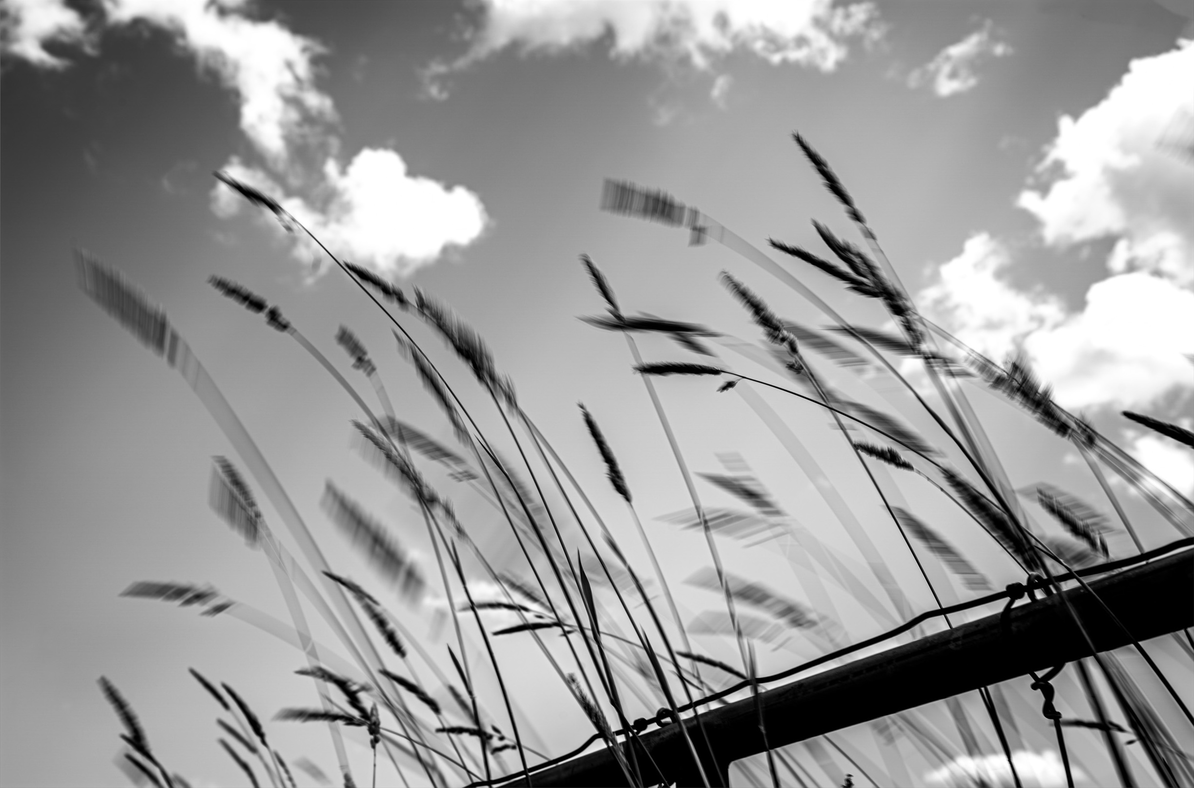 © Martin Lavertu | Loneliness and decay