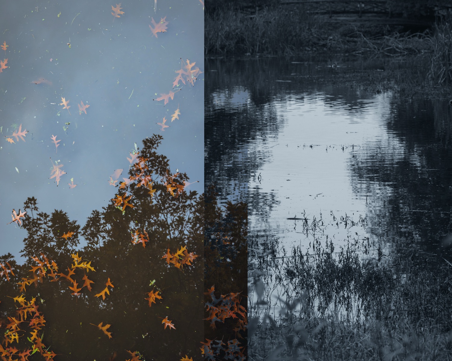 © Rachel Nixon | Undertow