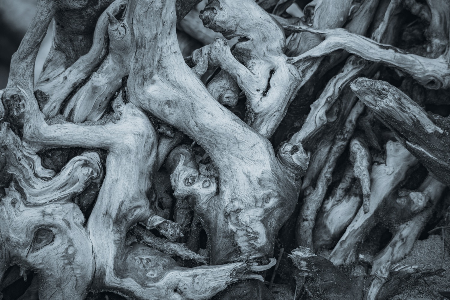 © Rachel Nixon | Undertow