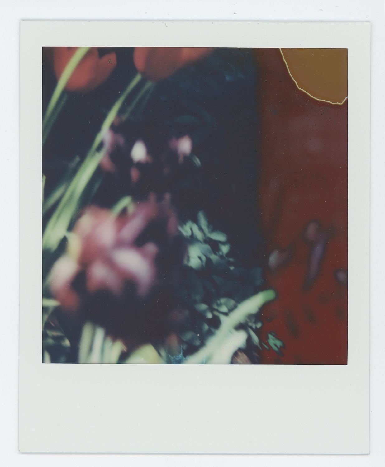 © Susan Weiss | Look Closely