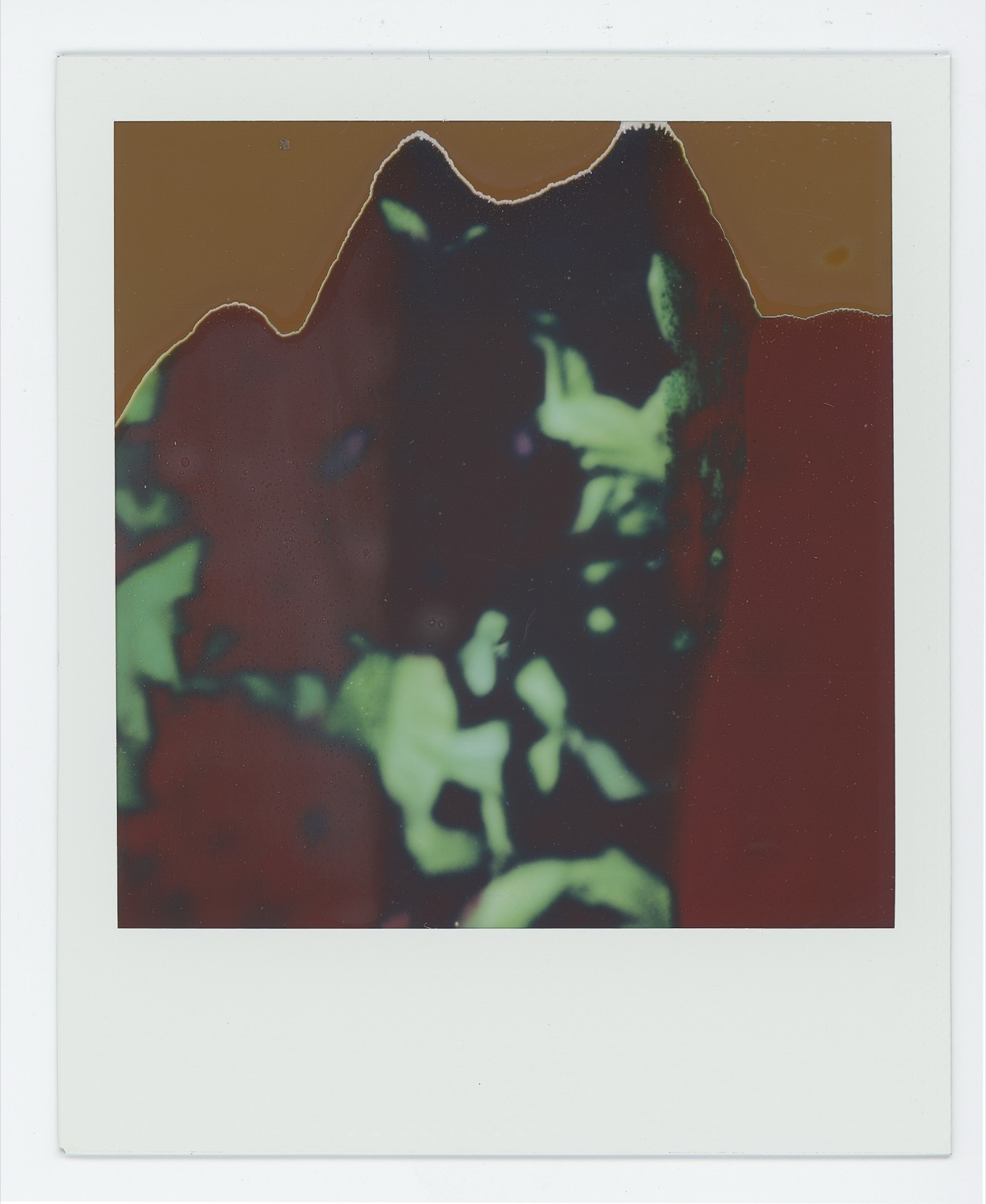 © Susan Weiss | Look Closely