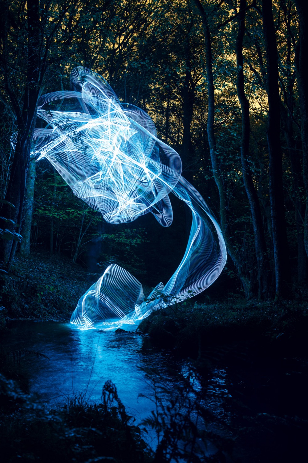 © Timothy Foster | Northern Lights