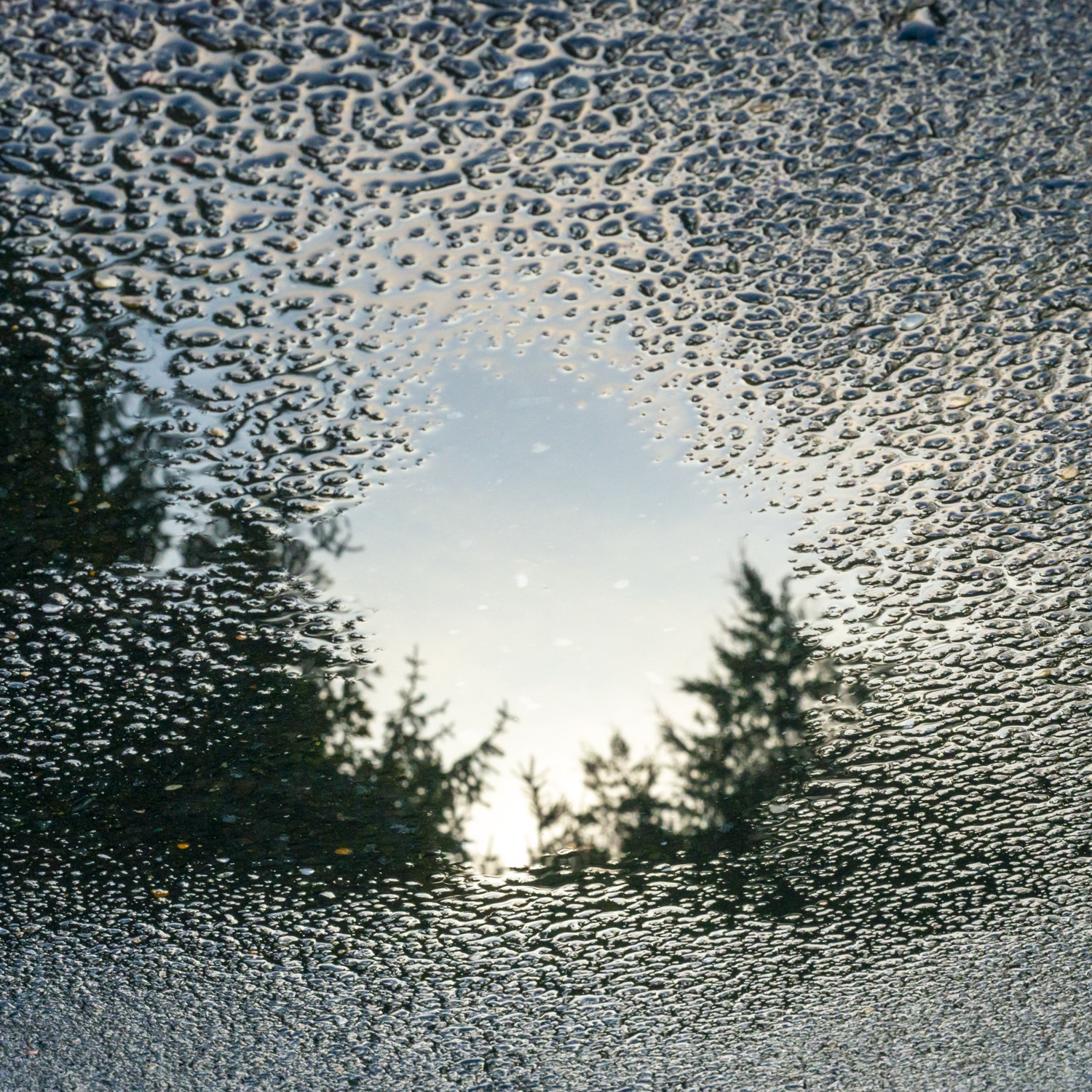 © Torrance York | Interstices