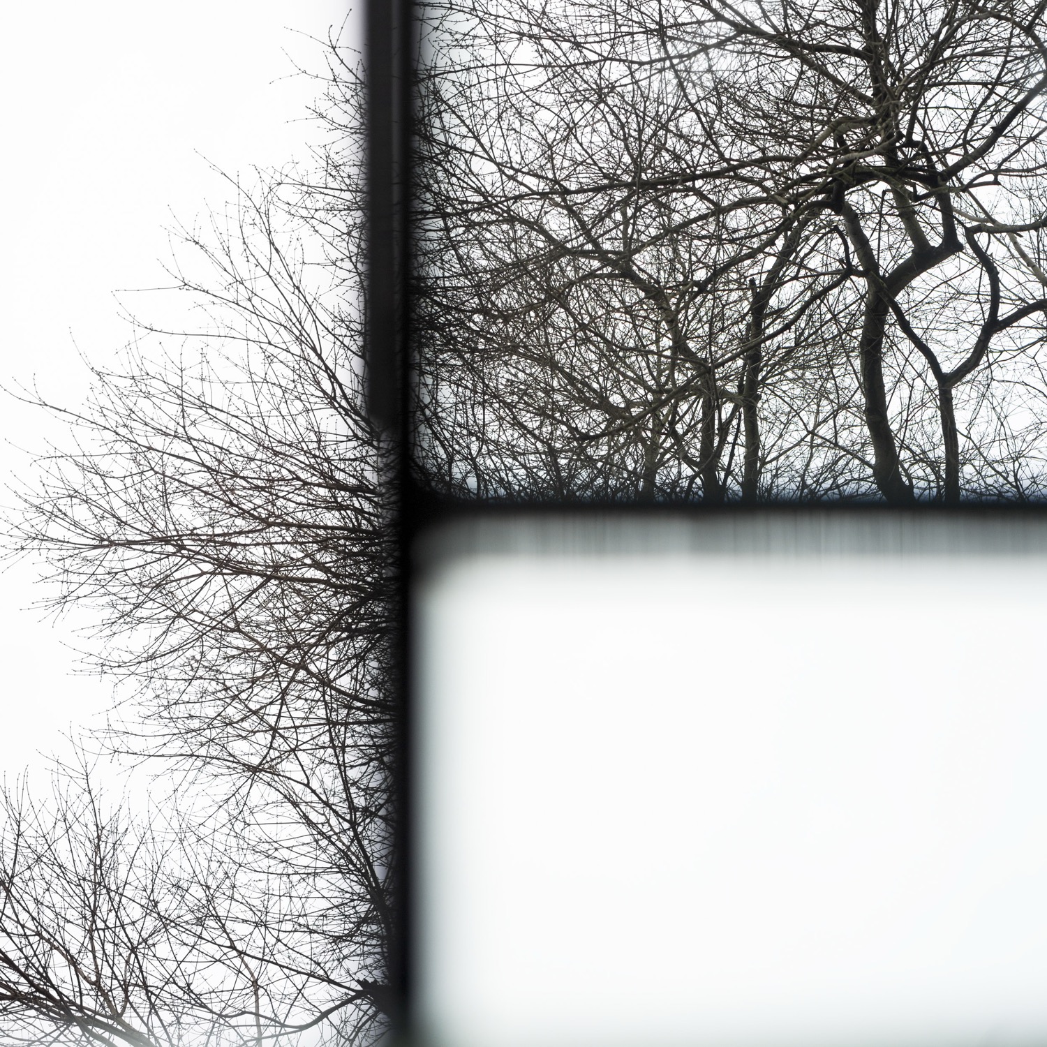 © Torrance York | Interstices