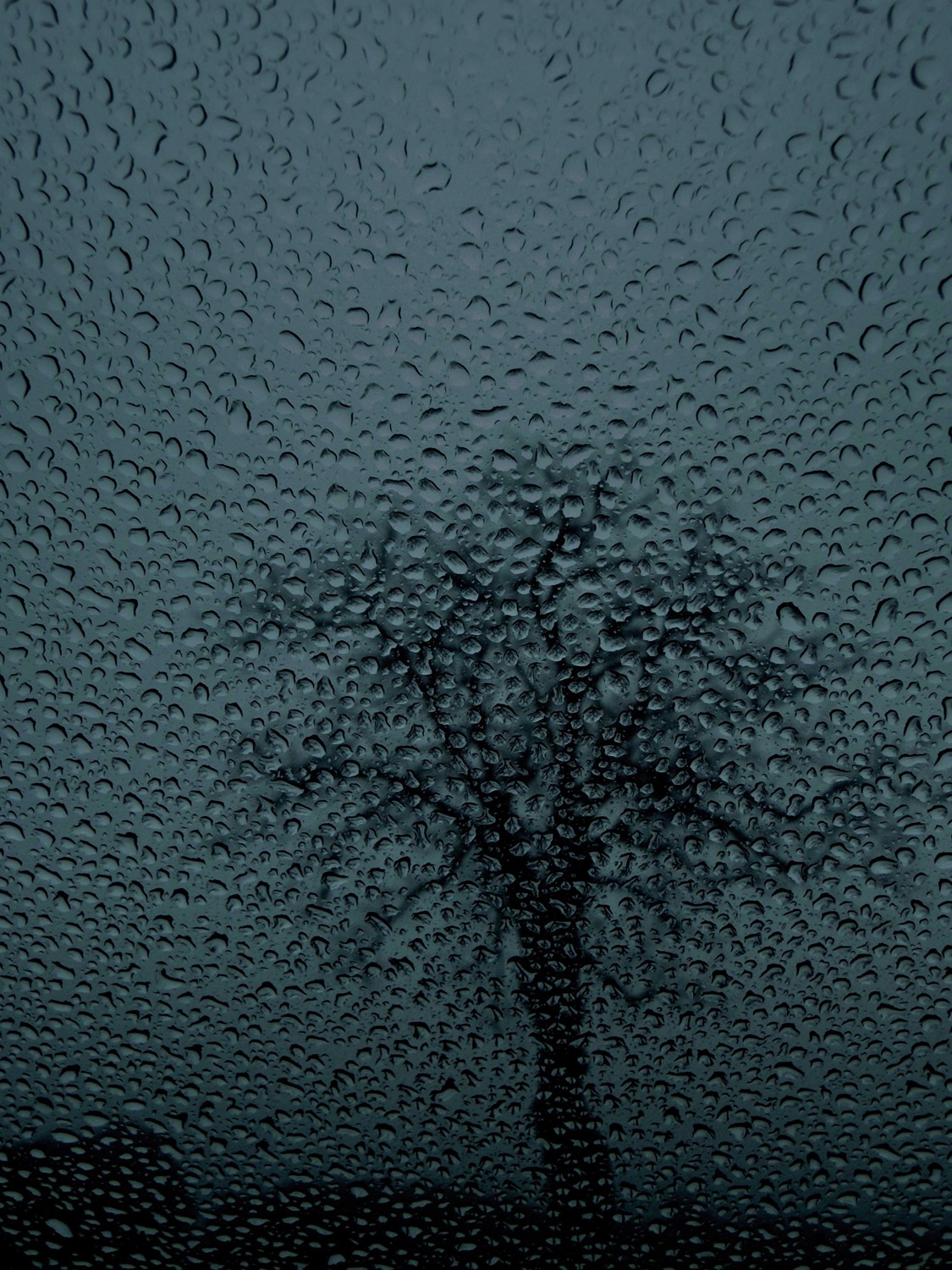 © Véronique Kolber | Deceptively Quiet