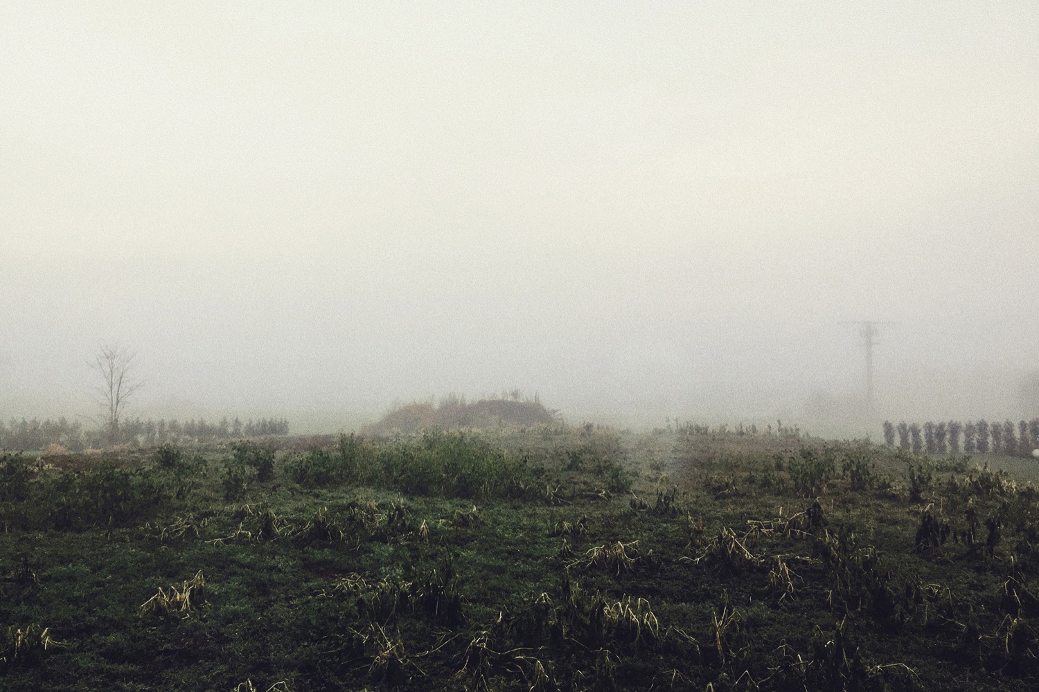 © Véronique Kolber | Deceptively Quiet