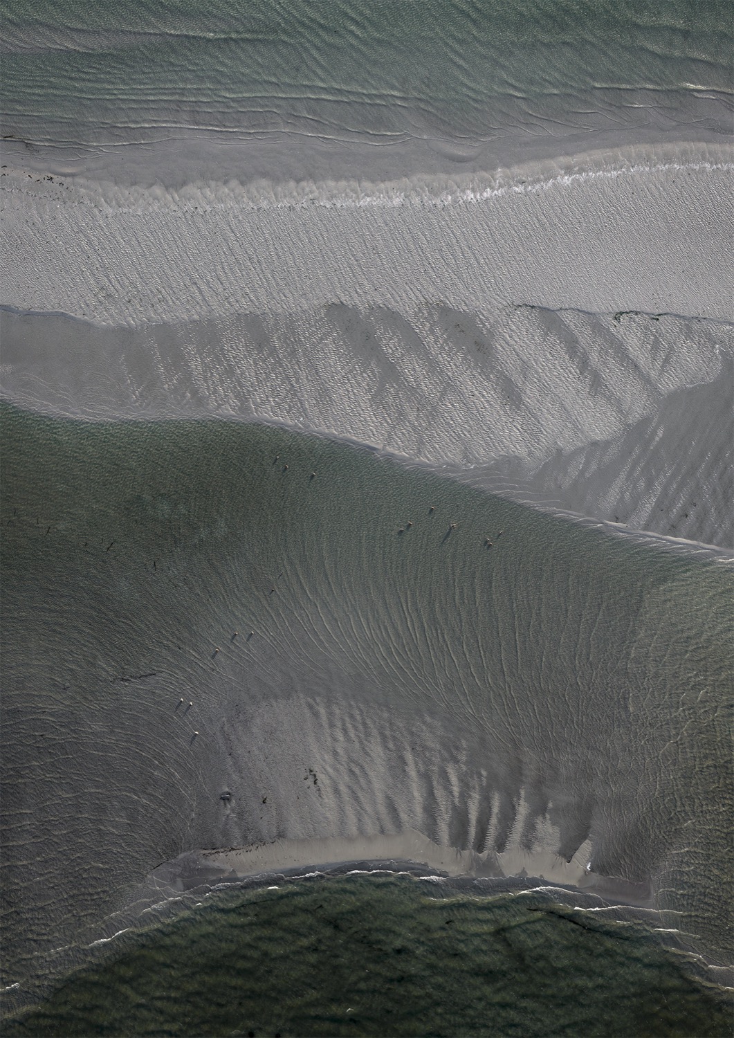 © Vladislav Gustinovich | Rybitwia Mielizna / Tern Shoal