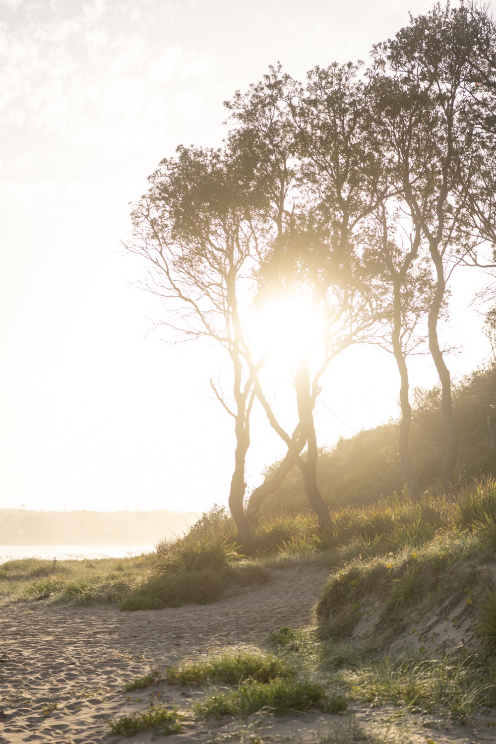 © Wendy Coombes | Quiet Shores