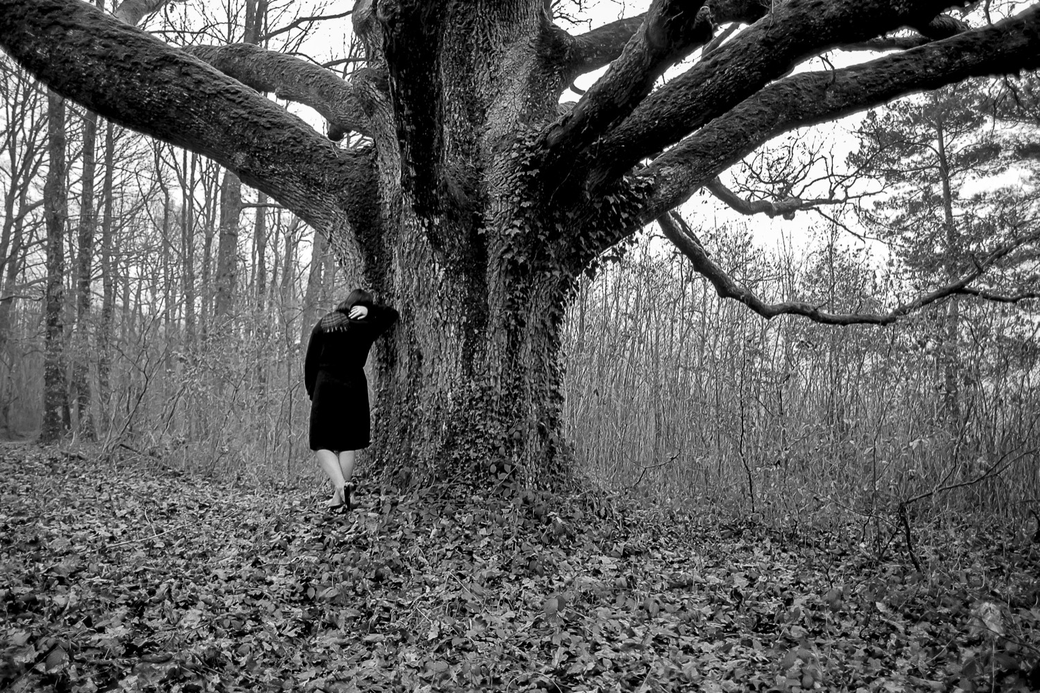 © Dominique Philippe Bonnet | The Quiet Presence