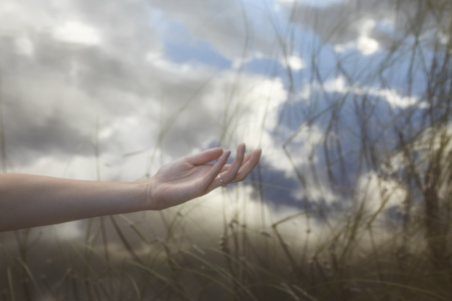 © Hannah Oseid | The Rest is Silent