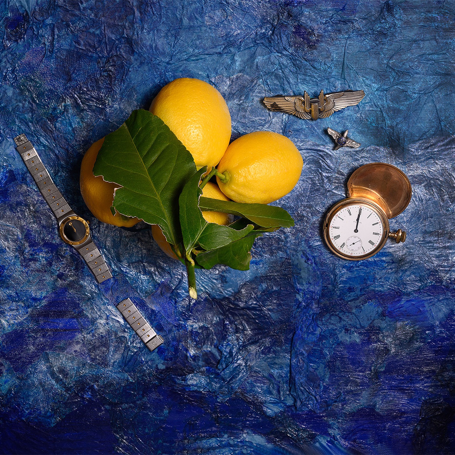 © Linda Enger | Cross Pollination