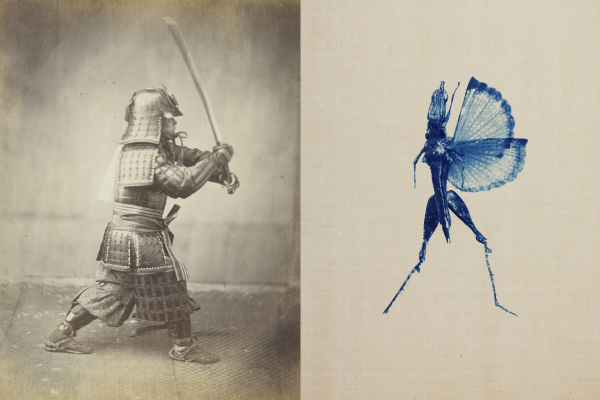 Ekō - Japan in two visual narratives