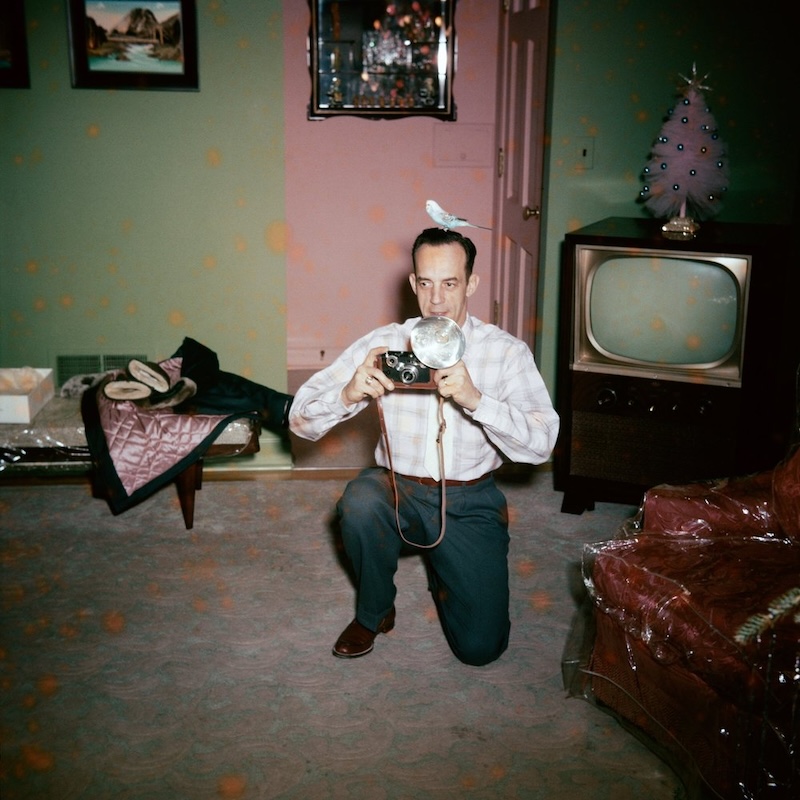 The Anonymous Project by Lee Shulman