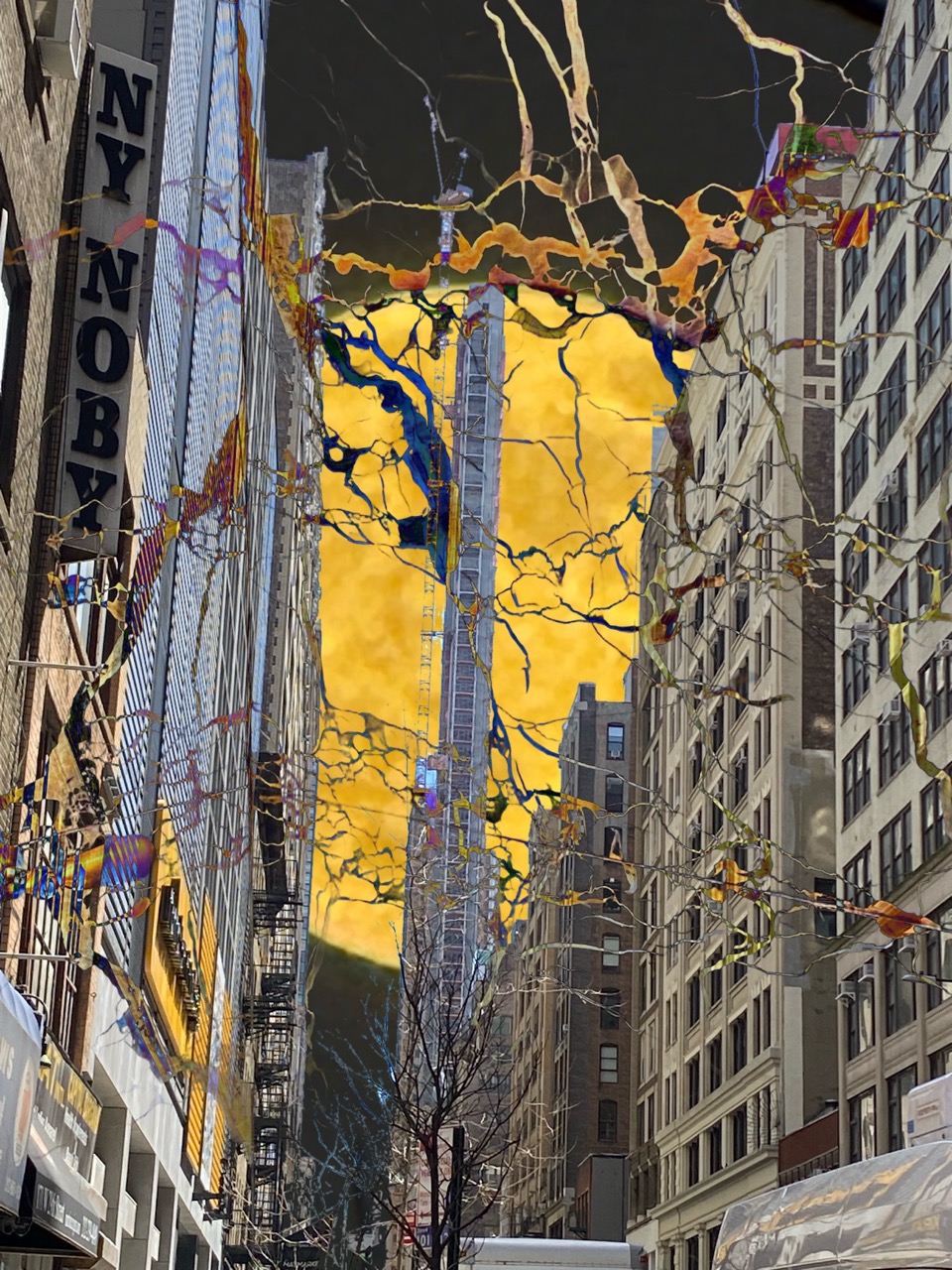 © Brian Hallas | Hallucinations and Delusions and Transformations