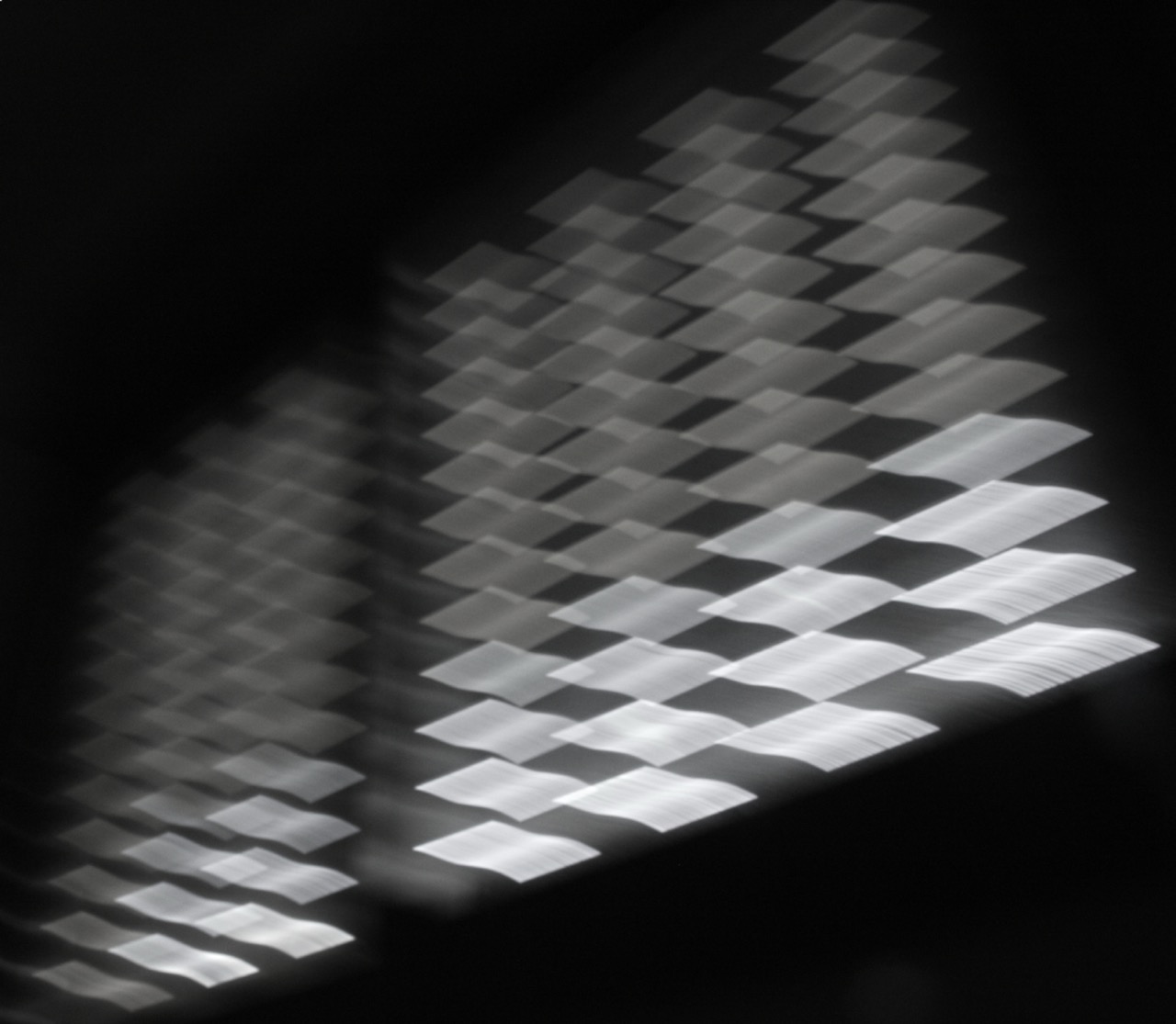 © Daniela Cohen | Wide spectrum of