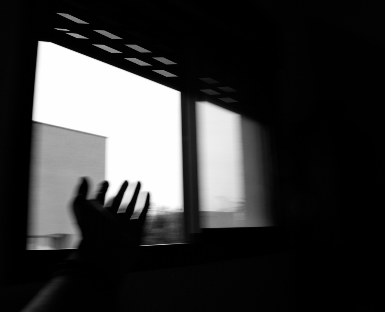 © Daniela Cohen | Wide spectrum of