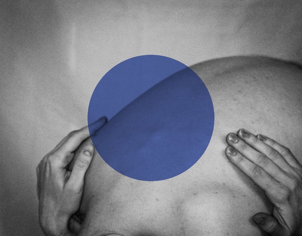 © Marina Vesper | The Bird