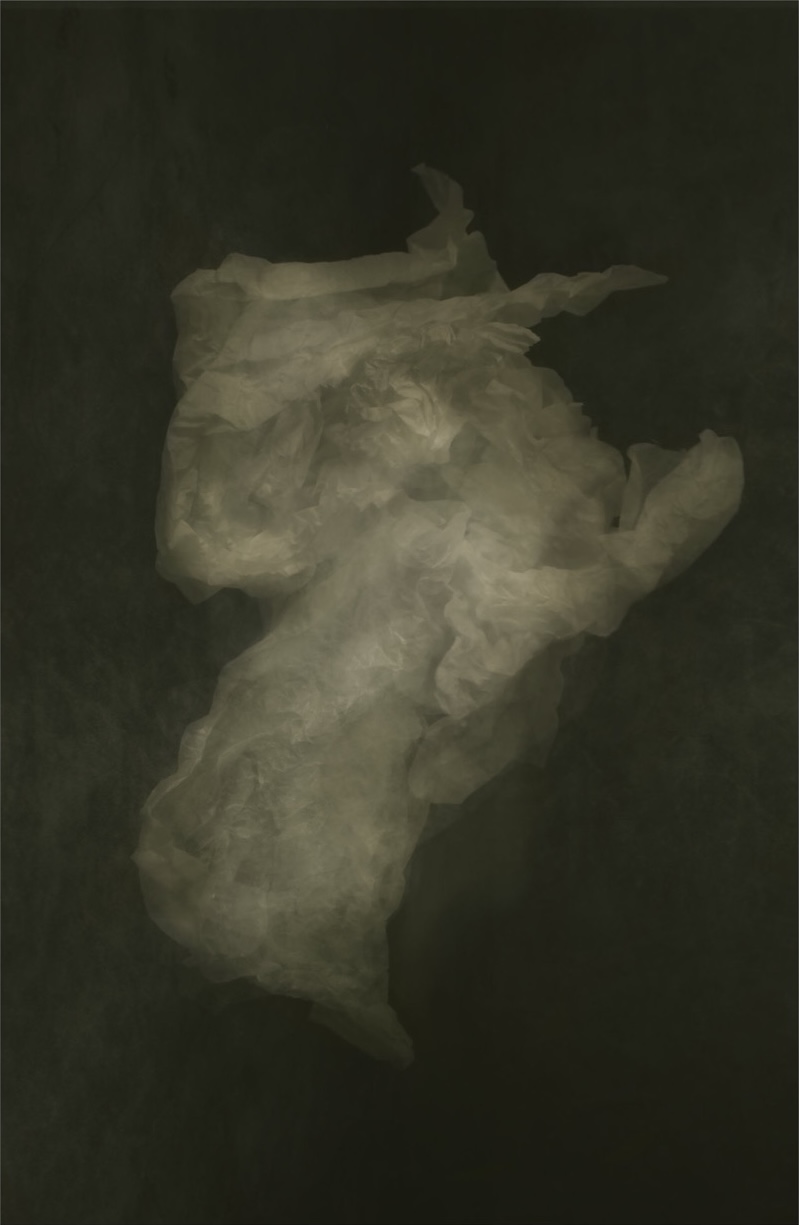 © Will Arden | Somnimorphs: Abyssal Saints & false Prophets