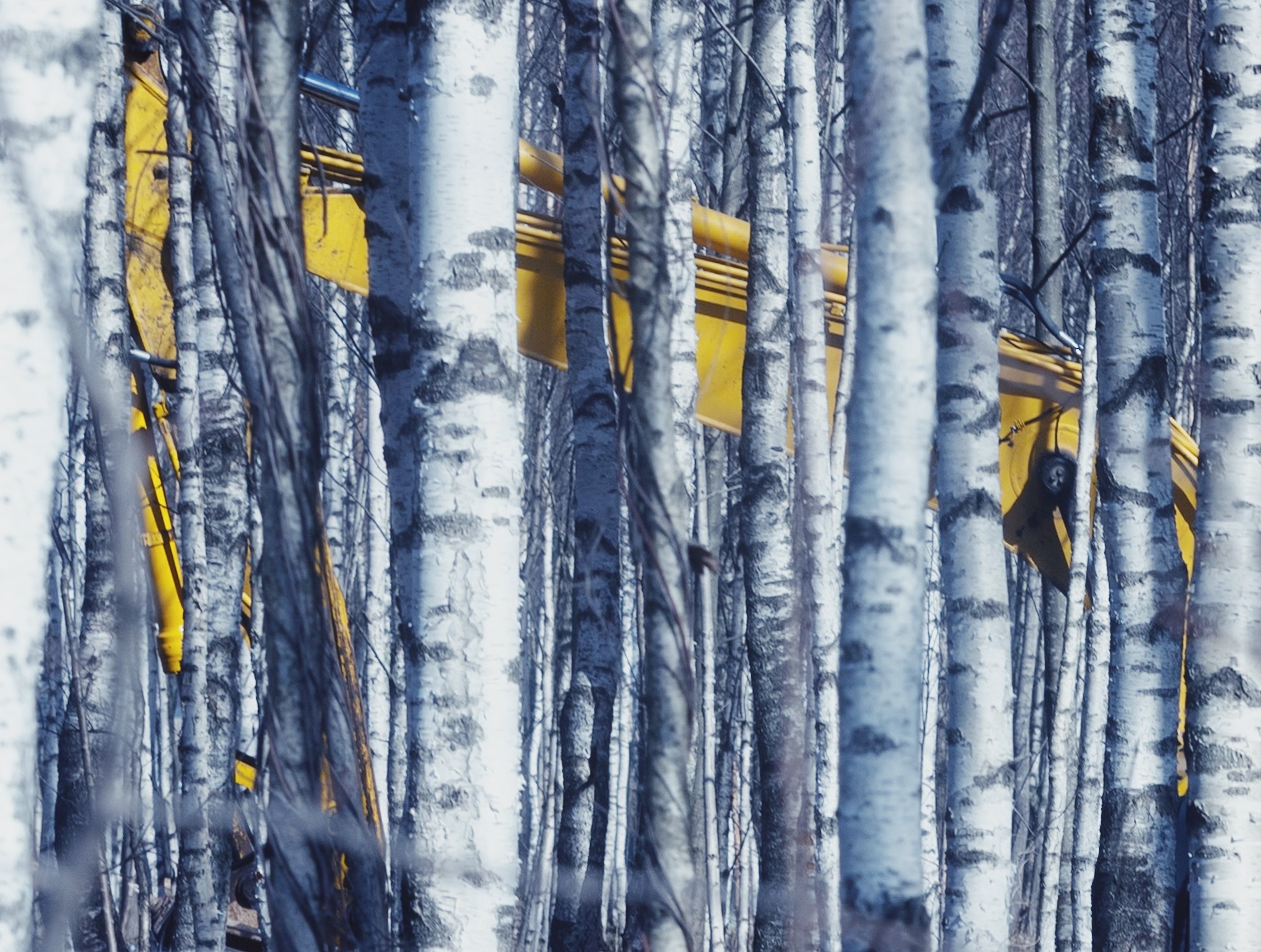 © Andrey Metelev | Between the lines