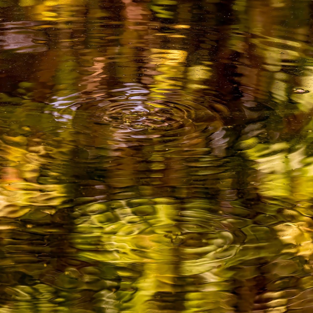 © Bill Boxer | Fractured Surfaces