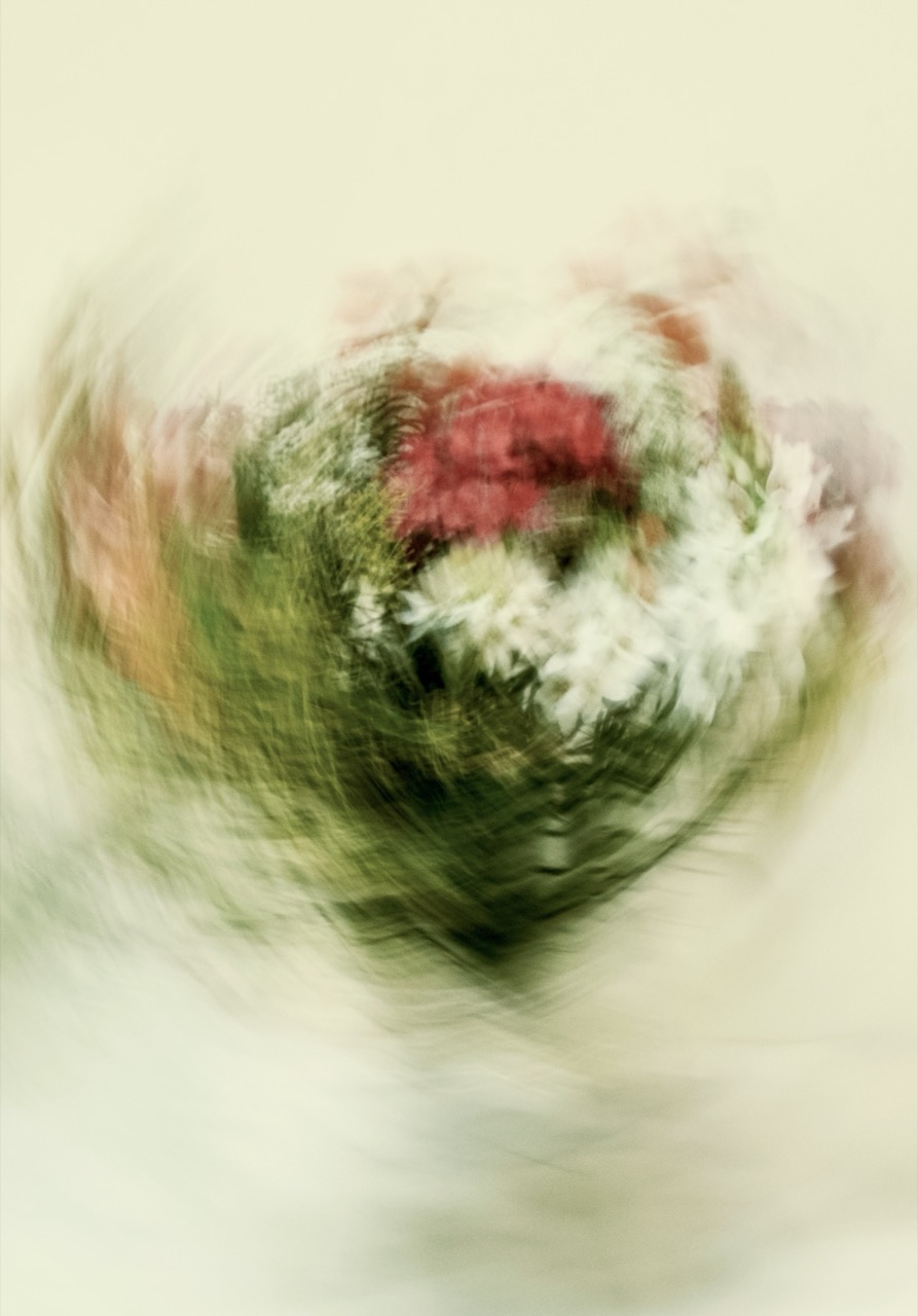 © Colina Logar | Dystill Life