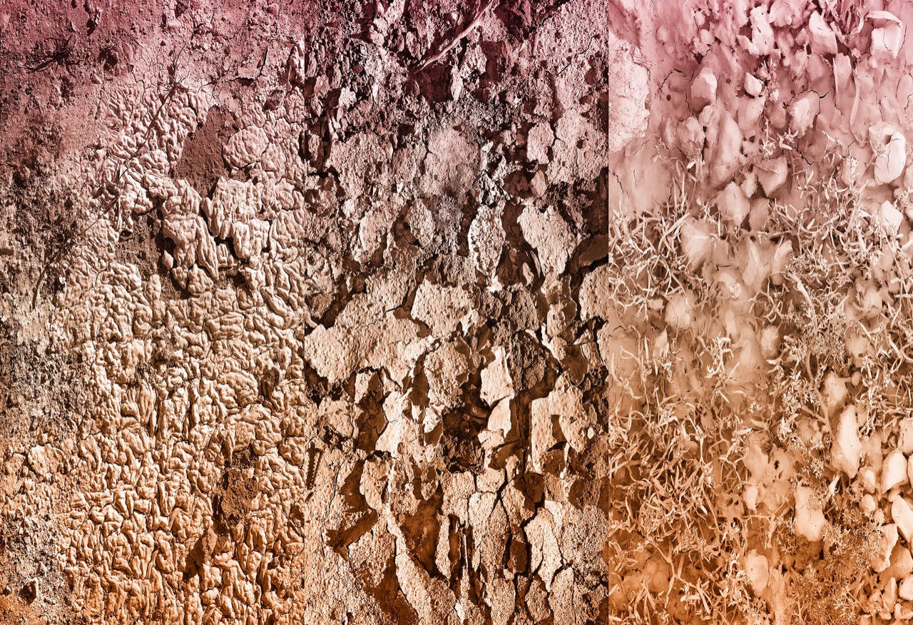 © Cyd Peroni | Skin Deep