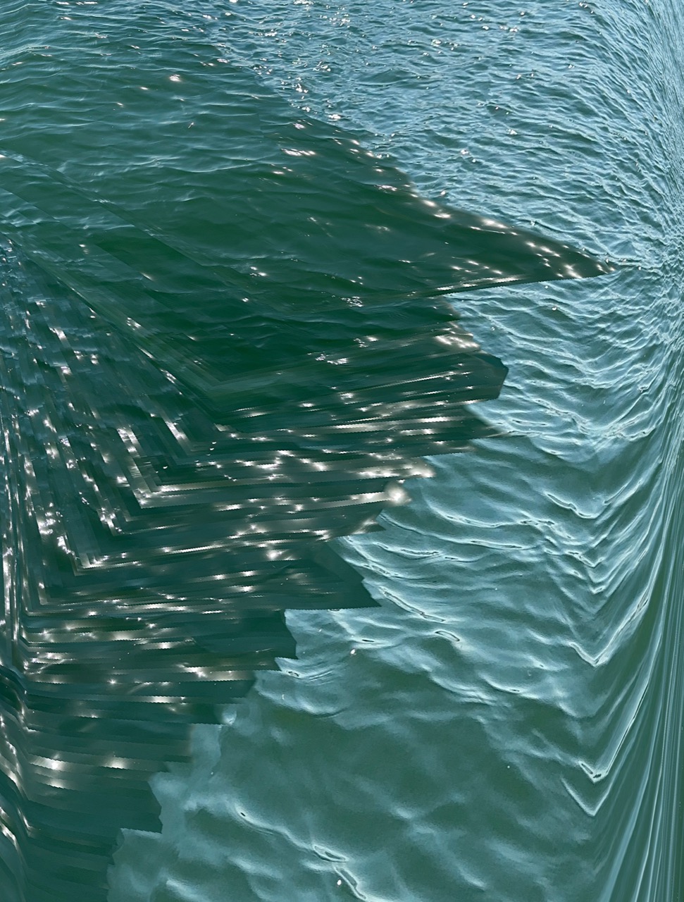 © Dana Aleshire | Refusing Containment