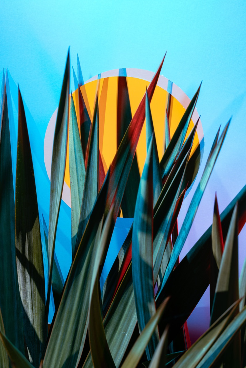 © Daniel Rose | All colours now