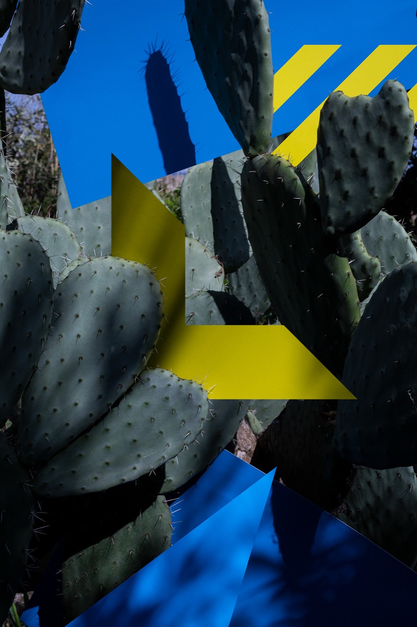 © Daniel Rose | All colours now