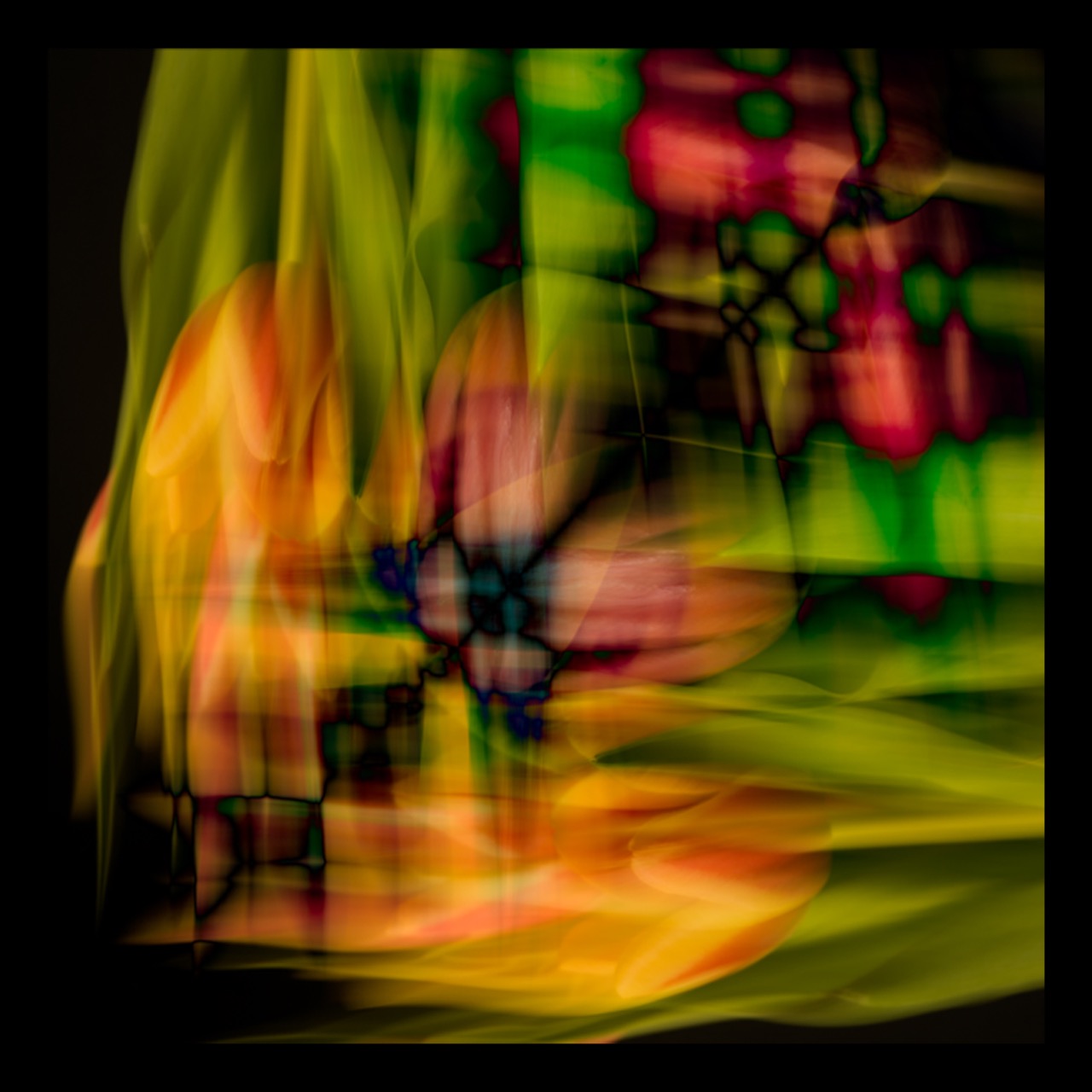 © Gayle Hallowell | Tulips