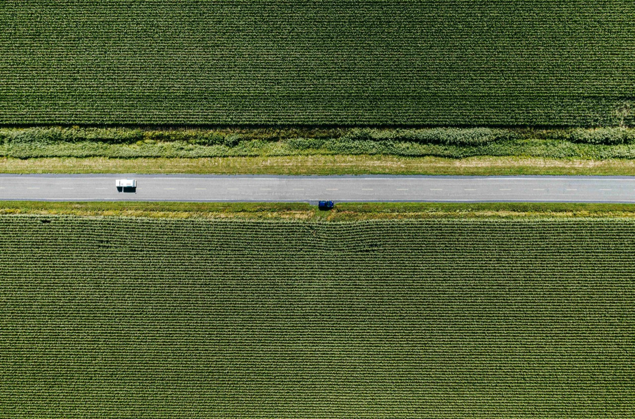 © Guillaume Gorini | Surface Logic