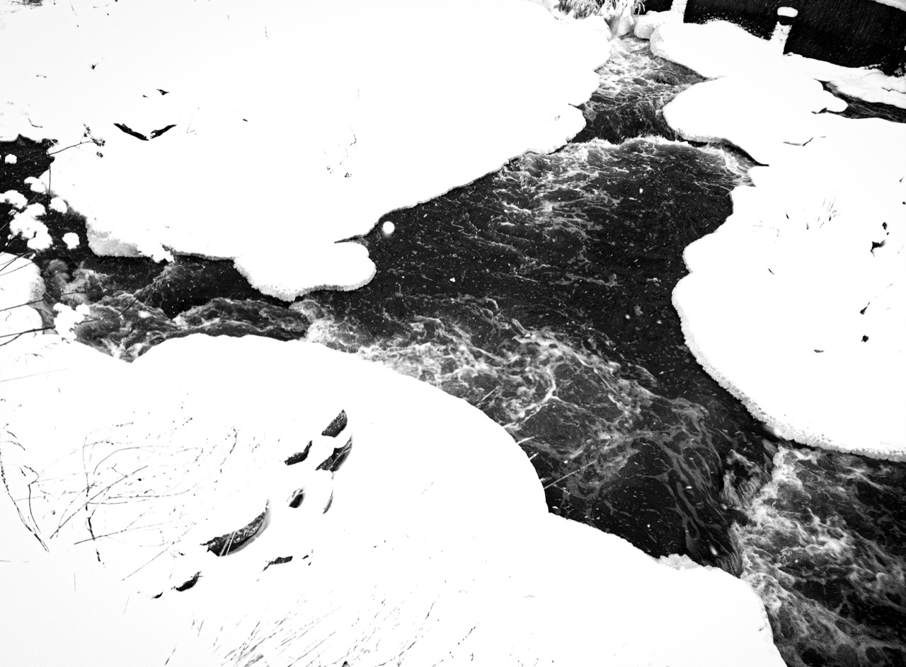 © Irina Ebralidze | Abstractions