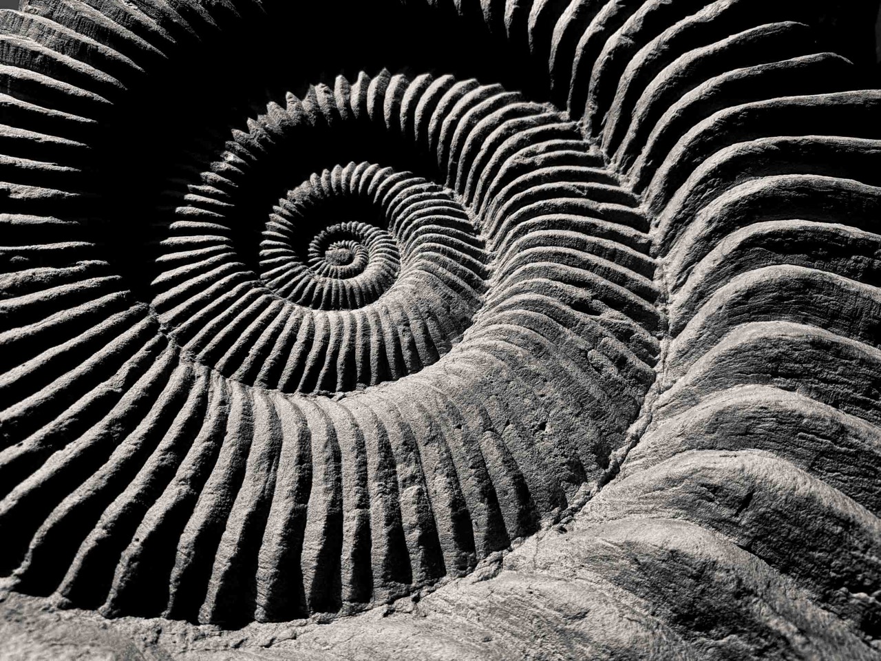 © Jeff Schewe | Abstractions