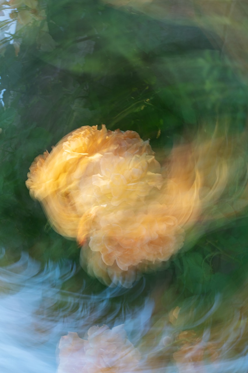 © Kayla Crouch | Duality of Life